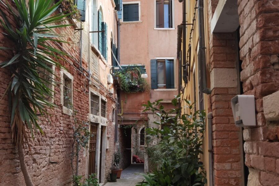 Екскурсія в Венеції "Про амурів, цікавинки і..." (фото 12)